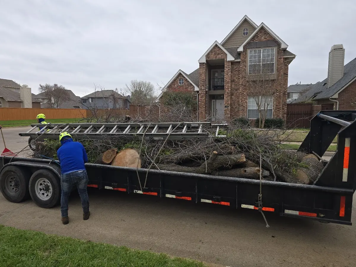 Expert Tree Fertilization with proper safety equipment in Cochise
